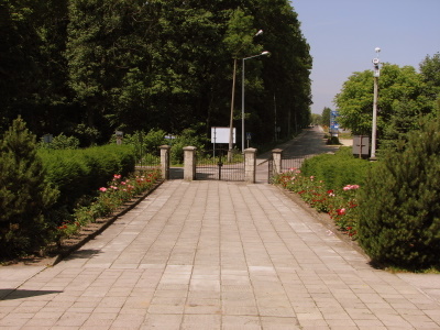 Zdj�cie